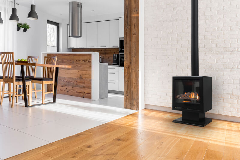 Rinnai 650 Gas Fire (Freestanding) – Hot Water u0026 Heating