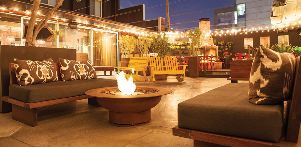 Ecosmart Burners