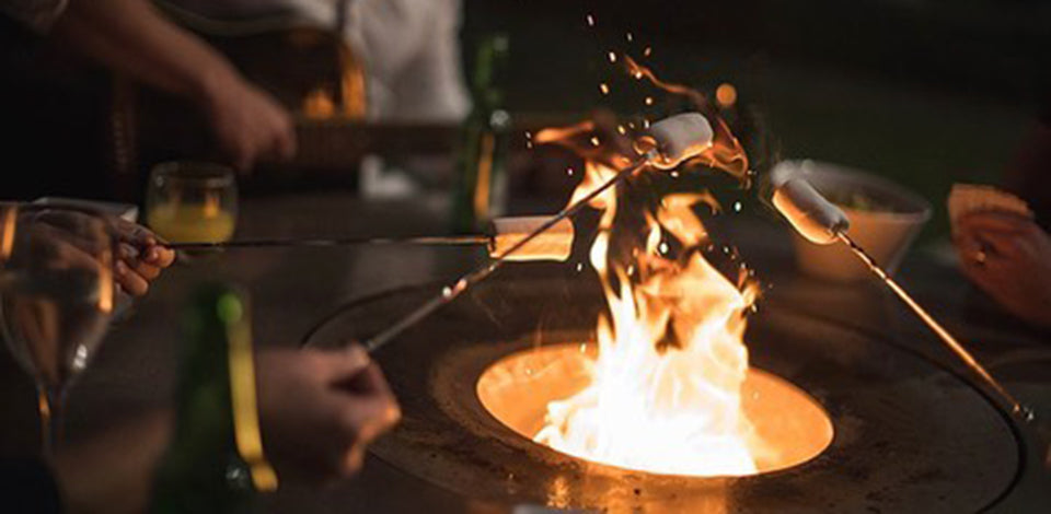Outdoor Wood Fire / Kitchen