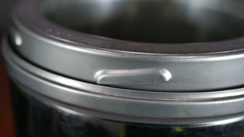 Pivot 6" Insulated Room Sealed Flue Kit